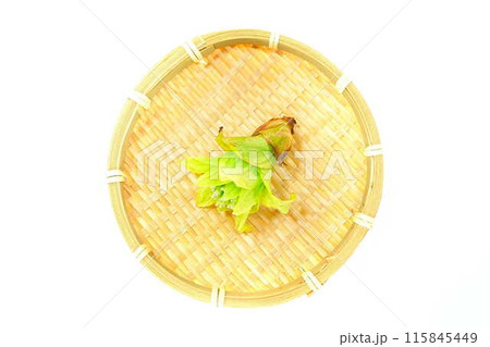 フキノトウ ふきのとう 蕗の薹 フキノトウ ふきのとう 蕗の薹 115845449