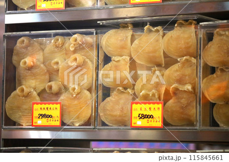 香港・徳輔道西の高級乾物店で売られる魚の高級食材の浮き袋（魚膠）の上で店番をするネコ 115845661