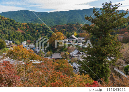 奈良 長谷寺 境内の秋景色 115845921