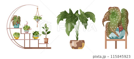 Houseplant and macrame plant growing in pots. Set of handmade home decorations macrame plants isolated on white background. Cartoon flat illustration. 115845923