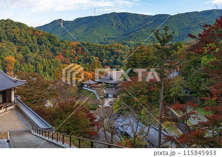 奈良 長谷寺 境内の秋景色 115845933