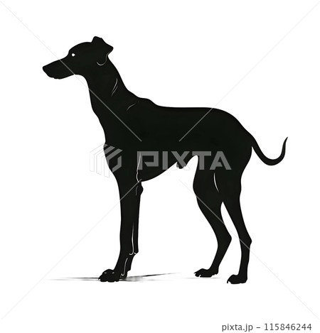 Black silhouette of a dog on white background. 115846244