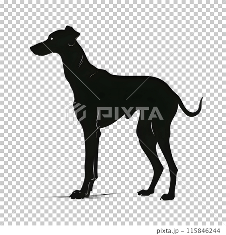 Black silhouette of a dog on white background. 115846244