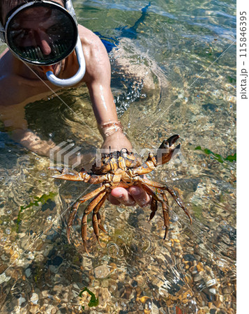 Big crab. Summer at sea in Odessa. On vacation. Clean water and warm sand. 115846395
