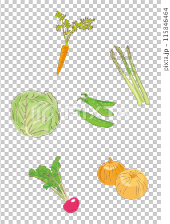 色々な野菜 115846464