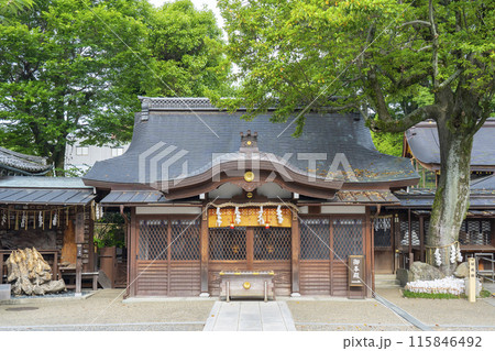 京都御所西　護王神社　祈願殿　招魂樹 115846492