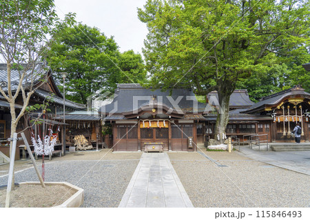 京都御所西　護王神社　祈願殿　招魂樹 115846493