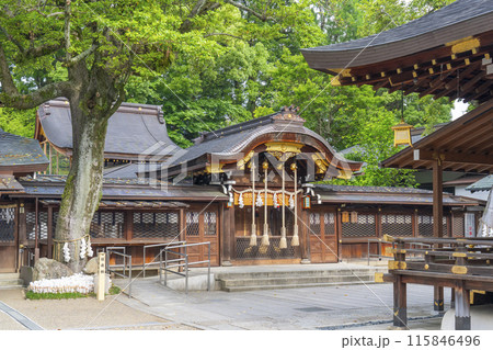 京都御所西 護王神社 中門 京都御所西 護王神社 中門 115846496