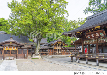 京都御所西 護王神社 中門 招魂樹 京都御所西 護王神社 中門 招魂樹 115846497