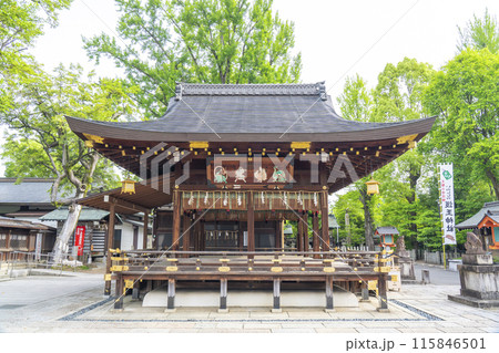 京都御所西　護王神社　拝殿 115846501