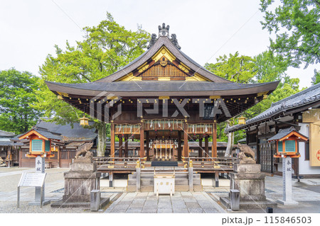京都御所西　護王神社　拝殿 115846503