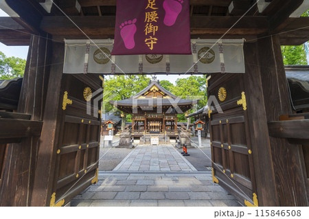 京都御所西 護王神社 表門から見える拝殿 京都御所西 護王神社 表門から見える拝殿 115846508