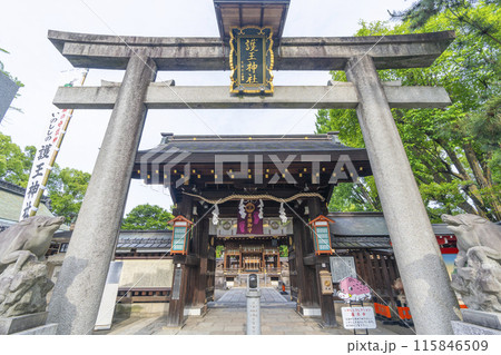 京都御所西　護王神社　表門から見える拝殿 115846509
