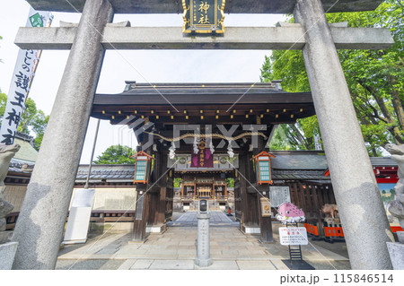 京都御所西　護王神社　表門から見える拝殿 115846514