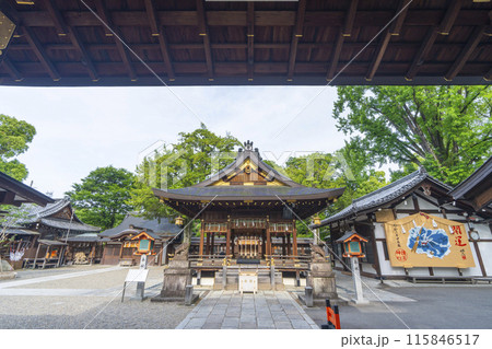 京都御所西　護王神社　表門から見える拝殿 115846517