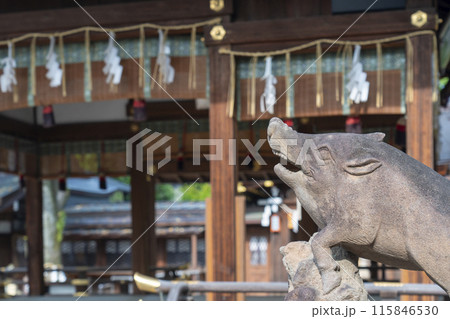 京都御所西 護王神社 狛イノシシと拝殿 京都御所西 護王神社 狛イノシシと拝殿 115846530