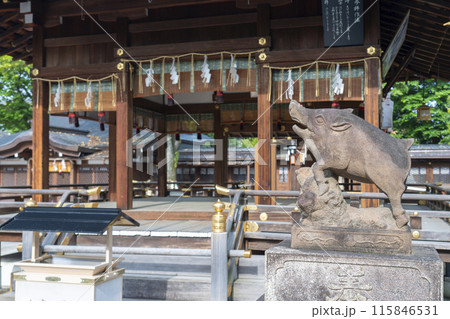 京都御所西 護王神社 狛イノシシと拝殿 京都御所西 護王神社 狛イノシシと拝殿 115846531