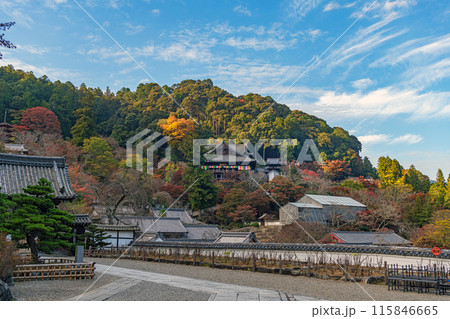 奈良 長谷寺の秋景色 本坊から本堂を望む 奈良 長谷寺の秋景色 本坊から本堂を望む 115846665