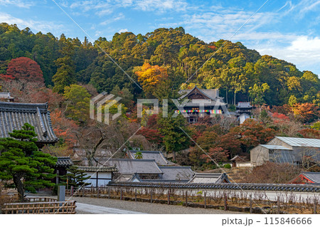 奈良 長谷寺の秋景色 本坊から本堂を望む 115846666
