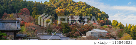 奈良 長谷寺 境内の秋景色 115846823