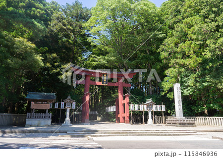 弥彦神社 115846936