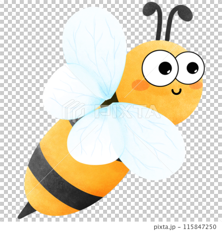 Small beetle with flowers 115847250