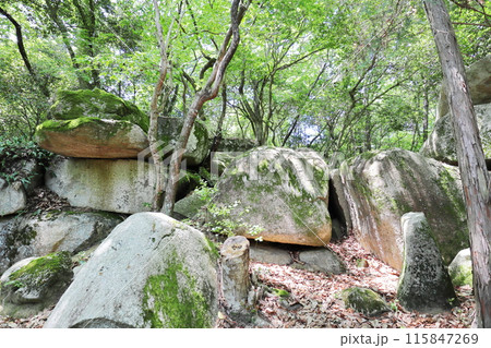 山奥に鎮座する苔むした巨石 山奥に鎮座する苔むした巨石 115847269