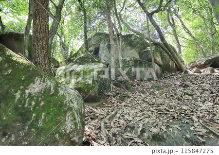 山奥に鎮座する苔むした巨石 115847275