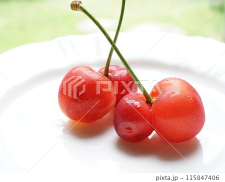 双子のさくらんぼ 115847406
