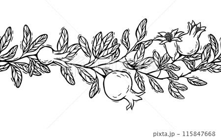 Seamless composition of branch with leaves and pomegranate. Vector botanical black and white illustration, hand drawn in linocut style. Drawing for food and cosmetics packaging design, postcards Seamless composition of branch with leaves and pomegranate. Vector botanical black and white illustration, hand drawn in linocut style. Drawing for food and cosmetics packaging design, postcards 115847668