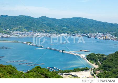 淡路島・福良湾の風景 115847828