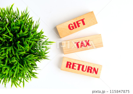 Text GIFT TAX RETURN on wooden blocks on a white background with a green plant out of focus Text GIFT TAX RETURN on wooden blocks on a white background with a green plant out of focus 115847875