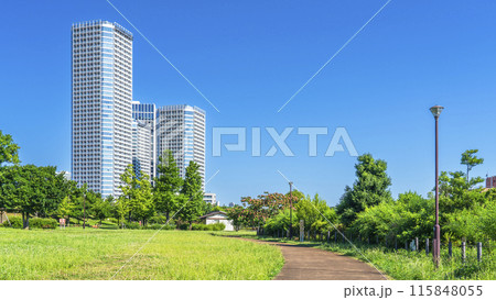 自然豊かな二子玉川公園からタワーマンション群を眺める【東京都・世田谷区】 115848055