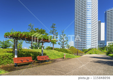 二子玉川公園の風景【東京都・世田谷区】 二子玉川公園の風景【東京都・世田谷区】 115848056
