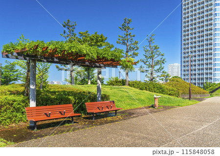 二子玉川公園の風景【東京都・世田谷区】 二子玉川公園の風景【東京都・世田谷区】 115848058