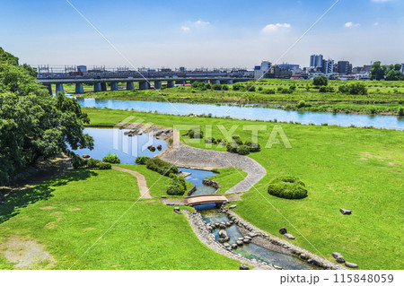 多摩川の自然風景 二子玉川「兵庫島公園」【東京都・世田谷区】 多摩川の自然風景 二子玉川「兵庫島公園」【東京都・世田谷区】 115848059
