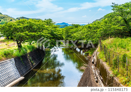新緑の琴海戸根川　【長崎市】 115848173