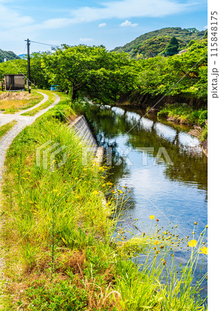 新緑の琴海戸根川 【長崎市】 新緑の琴海戸根川 【長崎市】 115848175