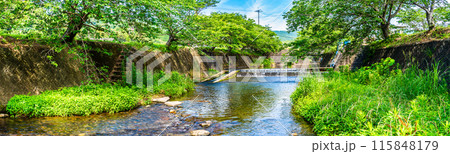 新緑の琴海戸根川　パノラマ　【長崎市】 115848179