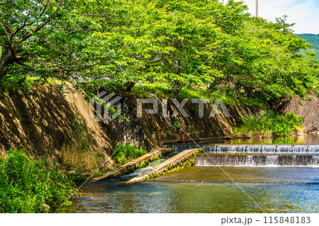 新緑の琴海戸根川　【長崎市】 115848183