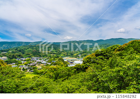 新緑の琴海中央公園　【長崎市】 115848292