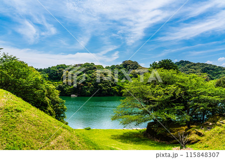 新緑の琴海中央公園　【長崎市】 115848307