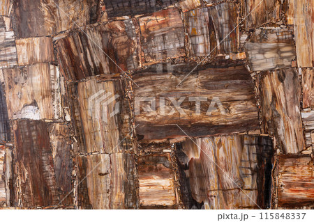 Petrified wood texture slab closeup. Semiprecious, gemstone stone. Petrified wood texture slab closeup. Semiprecious, gemstone stone. 115848337