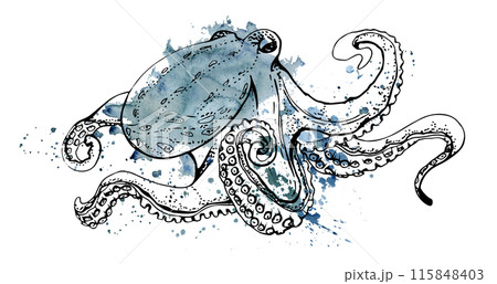 Watercolor and ink hand drawn marine life, sea ocean underwater creatures. fish, shells algae seaweed. Single object illustration, stylized, isolated on white. Zoo shop, aquarium, cosmetics, resort 115848403