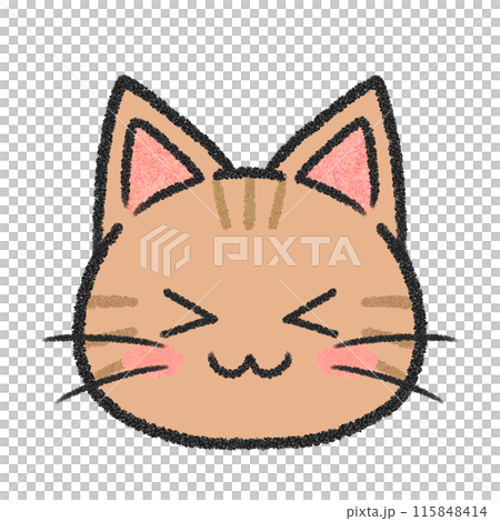 Cat's smiling face (brown tabby cat) 115848414