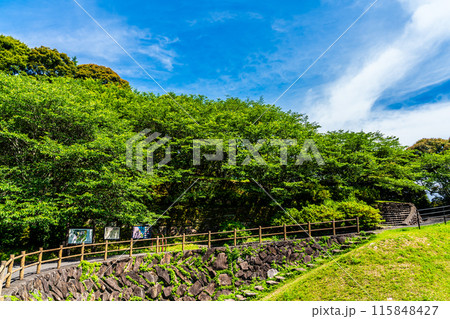 新緑の琴海中央公園 森の中の吊り橋 【長崎市】 新緑の琴海中央公園 森の中の吊り橋 【長崎市】 115848427