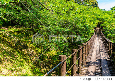 新緑の琴海中央公園　森の中の吊り橋　【長崎市】 115848434