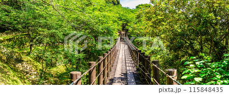 新緑の琴海中央公園　森の中の吊り橋　パノラマ　【長崎市】 115848435