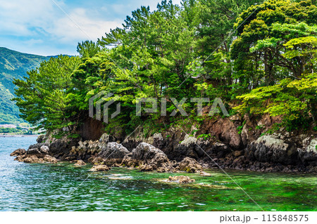 富津弁天宗像神社【長崎県雲仙市小浜町】 115848575