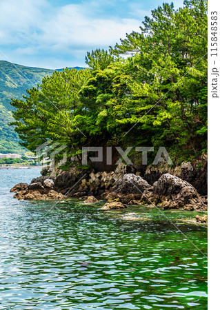 富津弁天宗像神社【長崎県雲仙市小浜町】 115848583